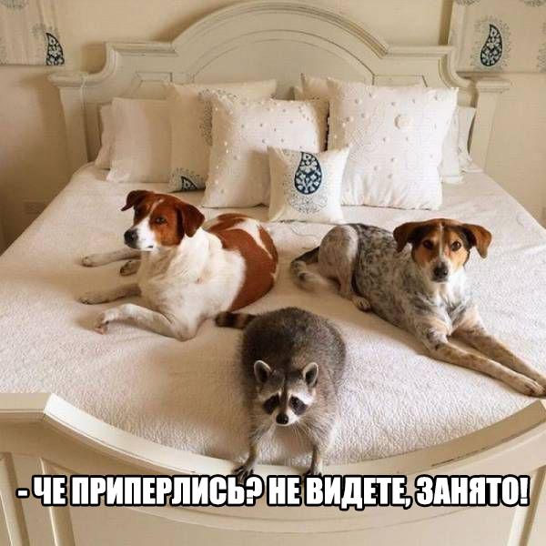 Разные картинки