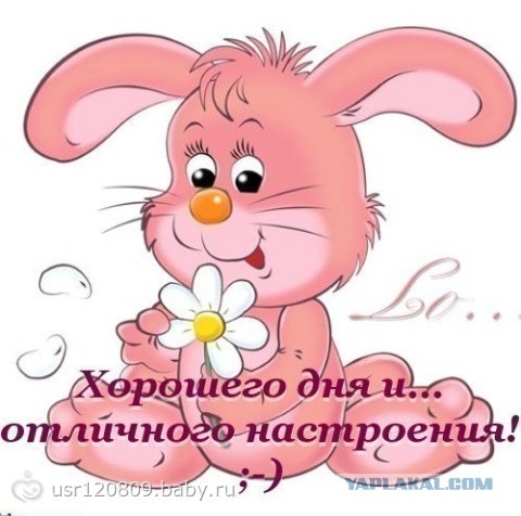 Давайте знакомиться