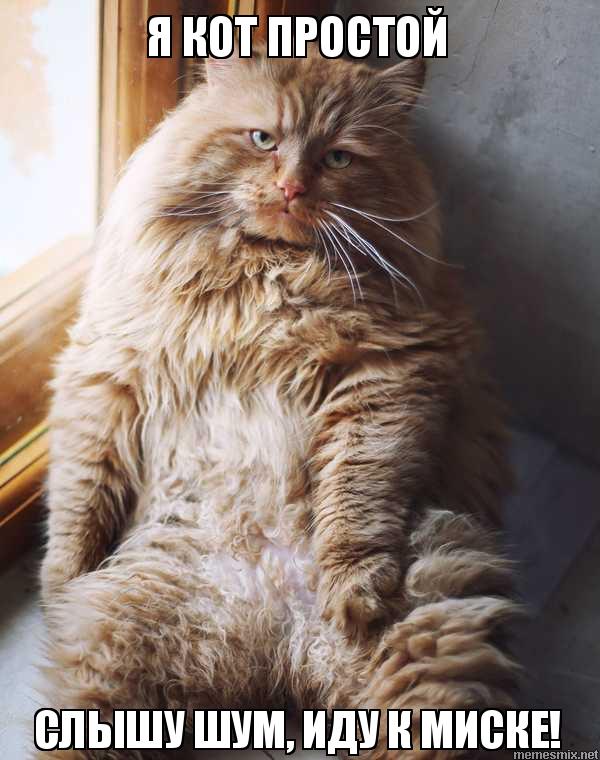 Смешные комментарии из социальных сетей 05.02.2016