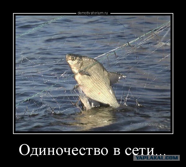 Абсурдный юмор ч.7