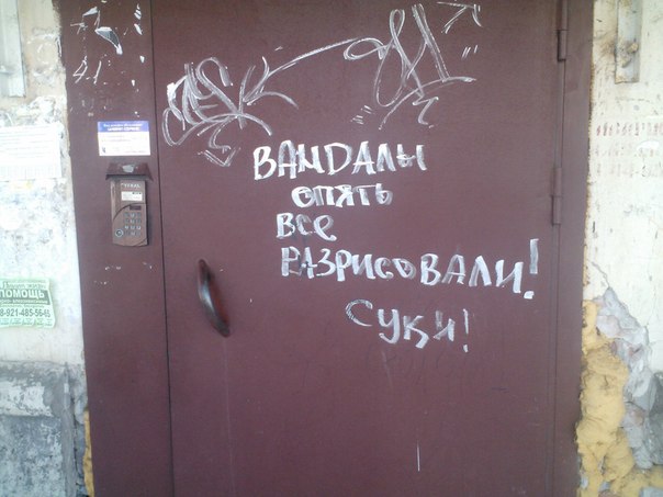 Ужасы и приколы из соцсетей 18+