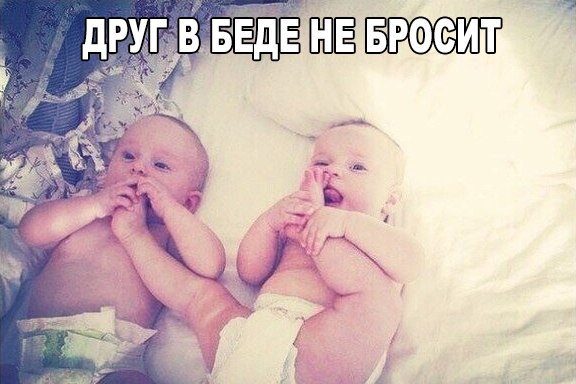 Забавные картинки из сети