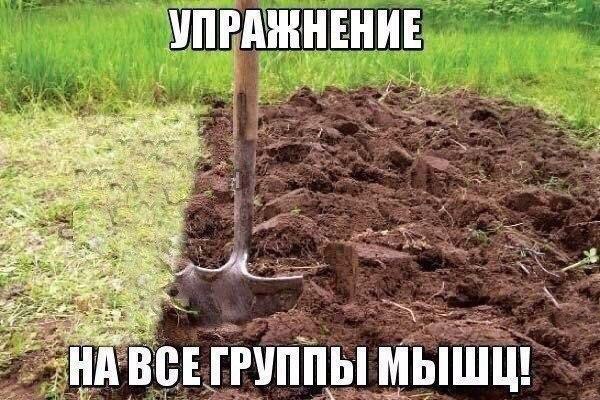 Ассорти картинок из сети