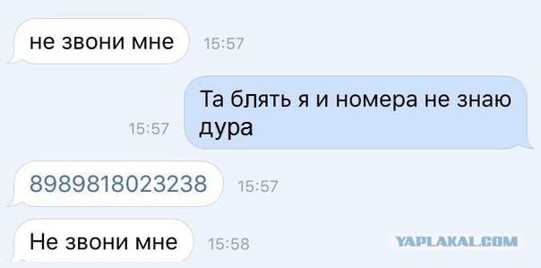 Всякое разное из интернета
