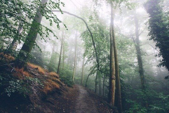 Картинки для отдыха глаз