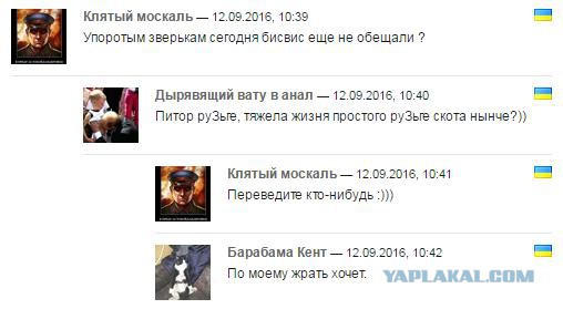 Смешные комментарии из социальных сетей 16.09.2016