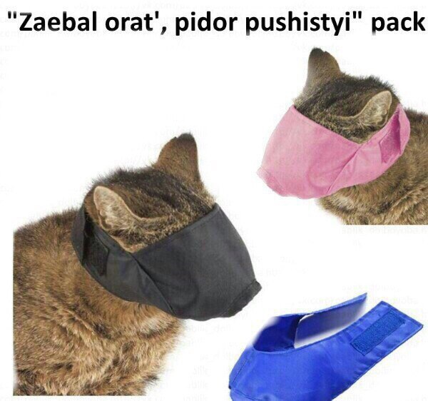 Абсурд зашкаливает