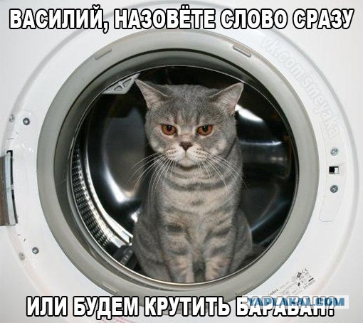 Юмор не для всех