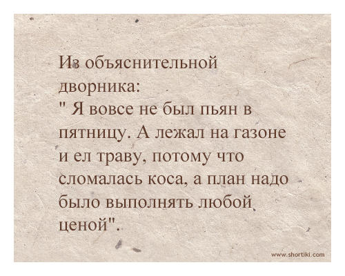 Очередная порция веселых комментов из соцсетей.
