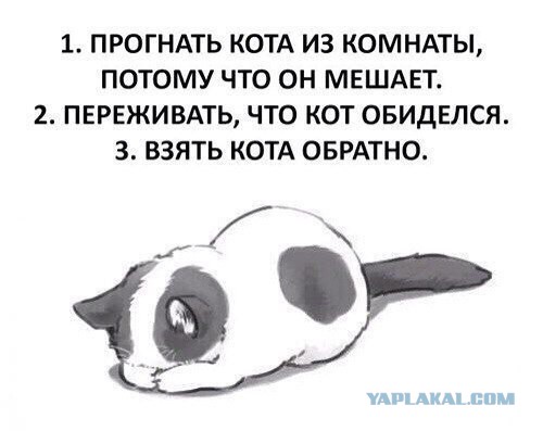 Смешные комментарии и высказывания из социальных сетей