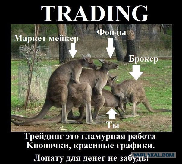 Форекс - первый звоночек