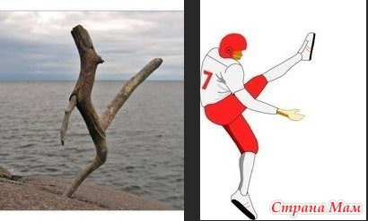 15 неожиданных вещей, которые страшно похожи друг на друга