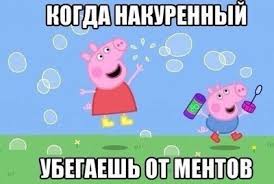 Картинки с глубочайшим жизненным смыслом. Часть третья