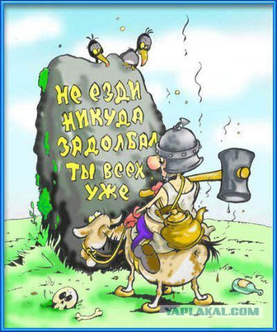 Забавные картинки