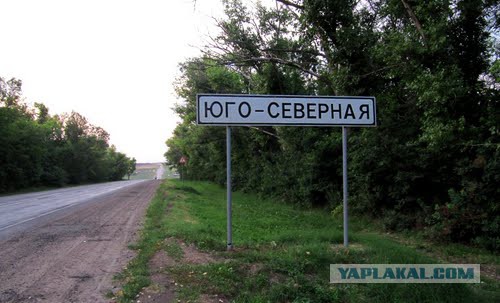 По родным просторам: забавные шутки, подкинутые морфологией русского языка на яндекс.картах