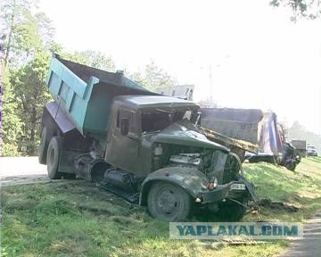 ДТП: Бой Быков
