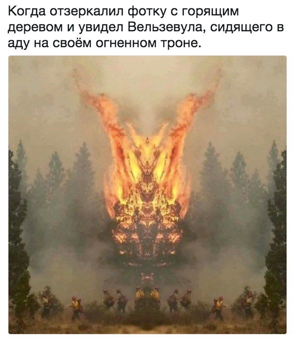 Прикольные картинки обо всём
