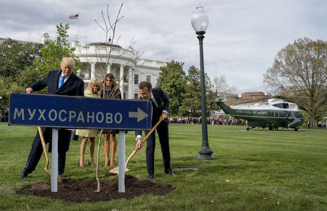 Сажающие дерево Трамп и Макрон превратились в мем