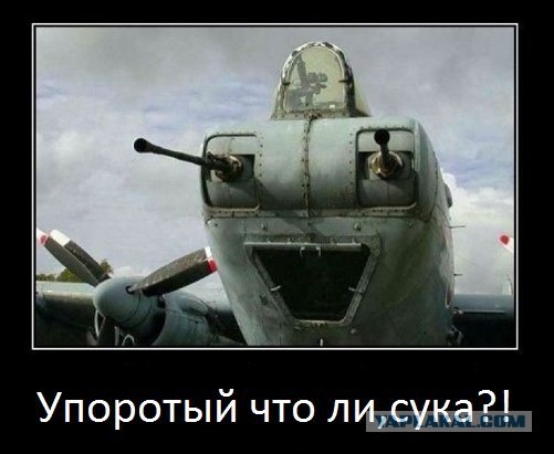 Да ты упоротый!