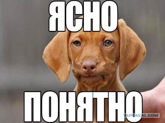 Гусары... По коням!