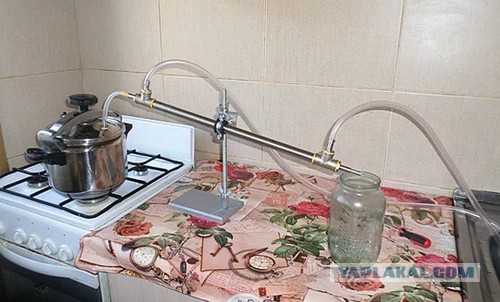 "Левитирующее" яйцо на пару