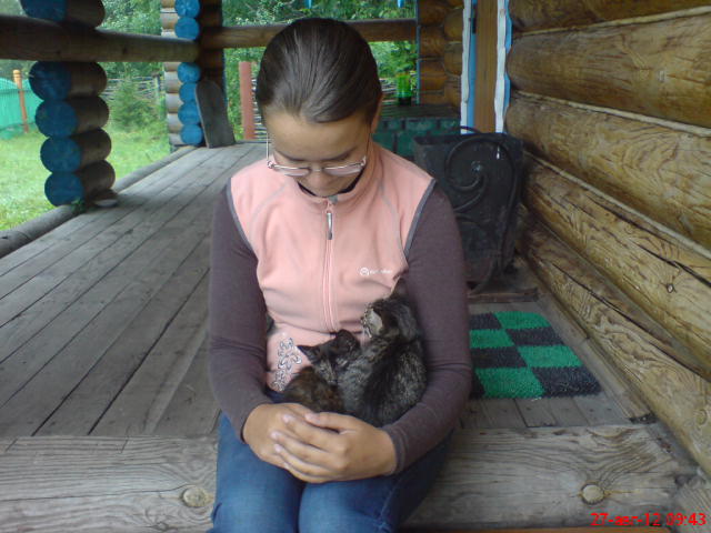 Котовторник 11.09.2012