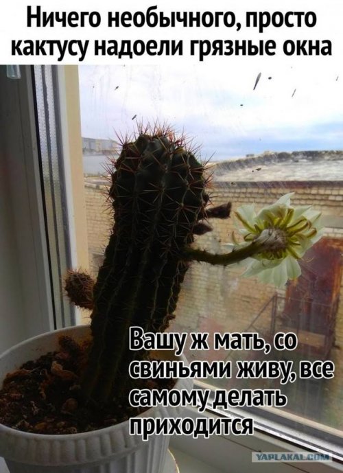 Немного картинок для настроения