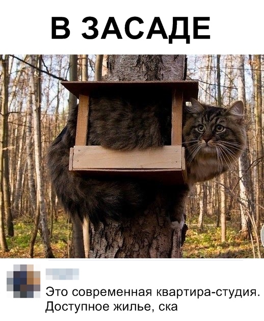 Нестандартный юмор