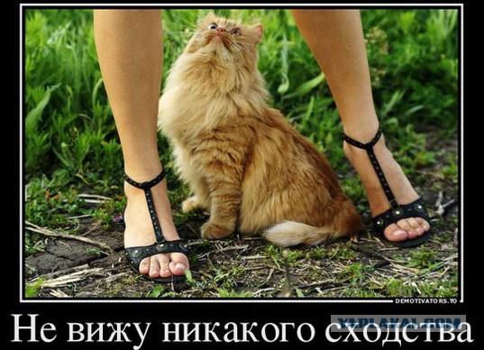 Подборка неинтересных и унылых картинок