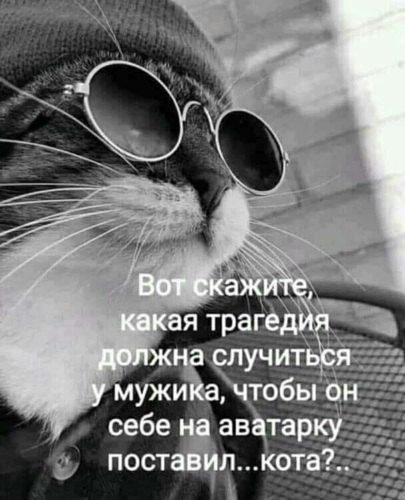 Немного картинок для настроения 06.05.20