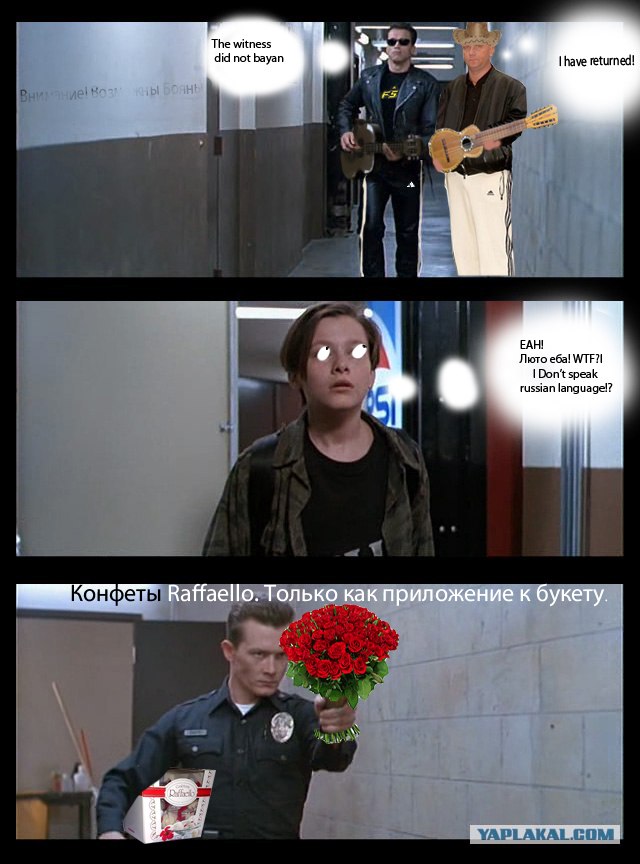 Новый взгляд на терминатора )))