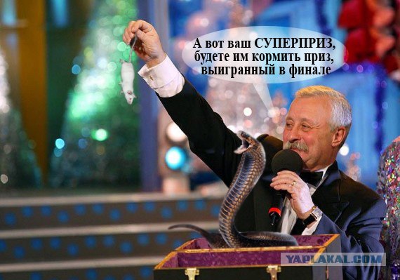 Поле Чудес