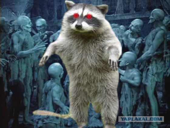 Разборки