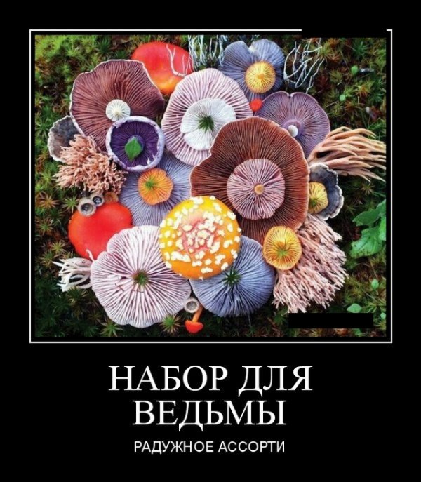 Прикольные и просто красивые картинки 26.10.2020