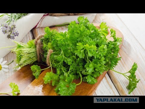 Вы заработались? Вспомните, куда ушло детство!