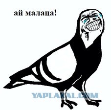 GTA в Воронеже или водители нашего города.