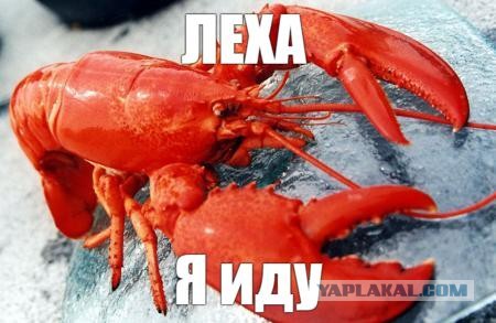 Алексей Навальный объявил голодовку в колонии
