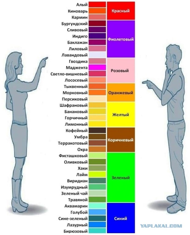 Взгляд на одни и те же вещи глазами мужчин и женщин