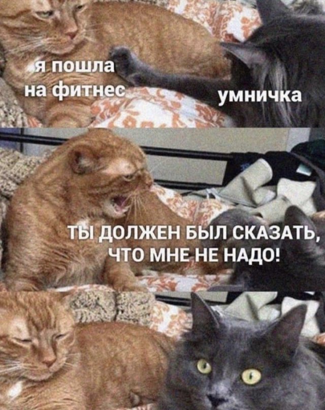 Картинки с надписями и всякие жизненные фразы