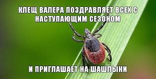 В Испании около 200 хиппи из «Семьи Радуги» собрались в горах Ла Риохи — они танцуют и занимаются сексом на природе