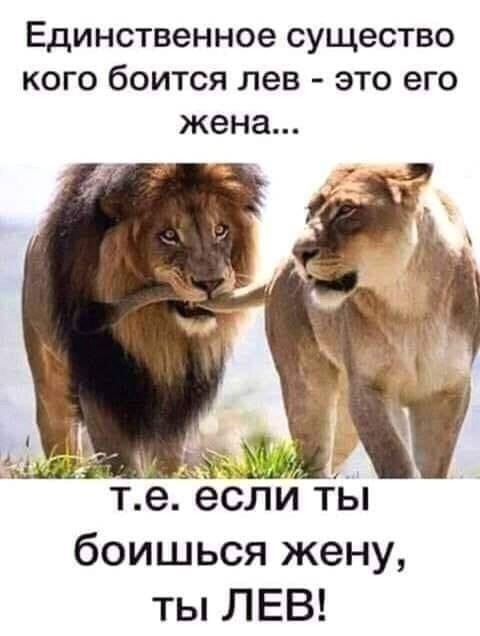 Баянисто-небаянистый юмор 23.08.21