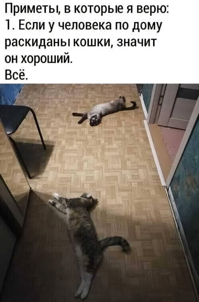 Картинки и мемы для настроения 24.08.2021