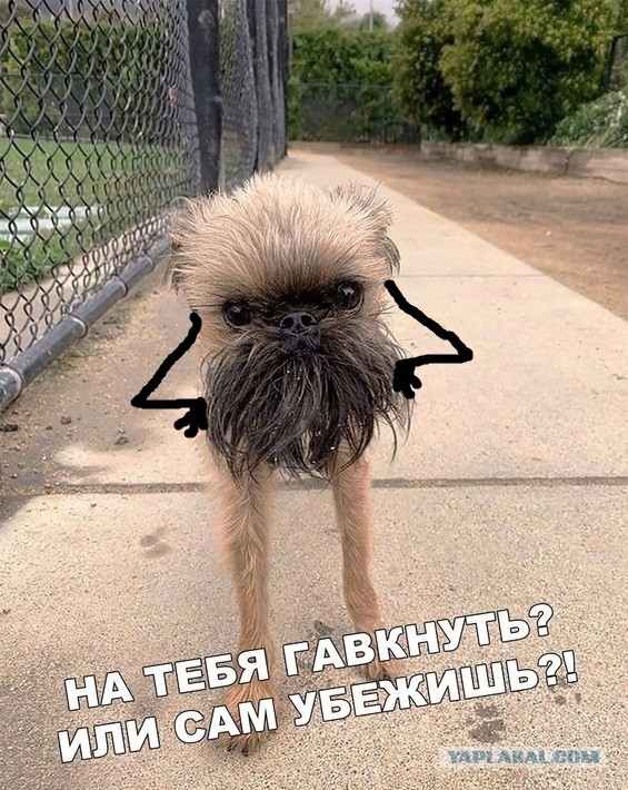 Так себе картинки 09.09.21