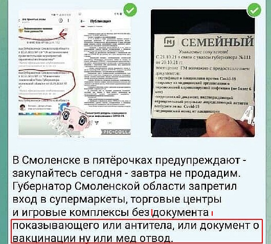 В смоленской области непривитых перестали пускать в продуктовые магазины. Фейк или правда?