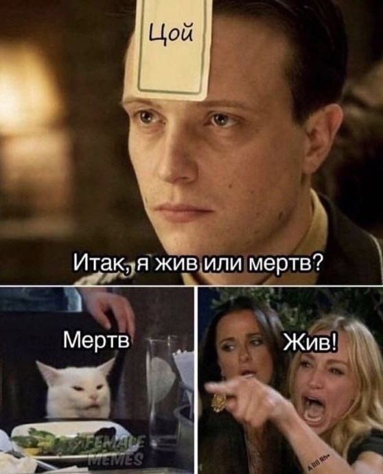 Весёлый полтишок 29.10
