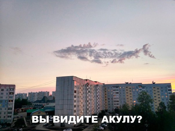 Картинки и мемы для настроения 02.11.2021