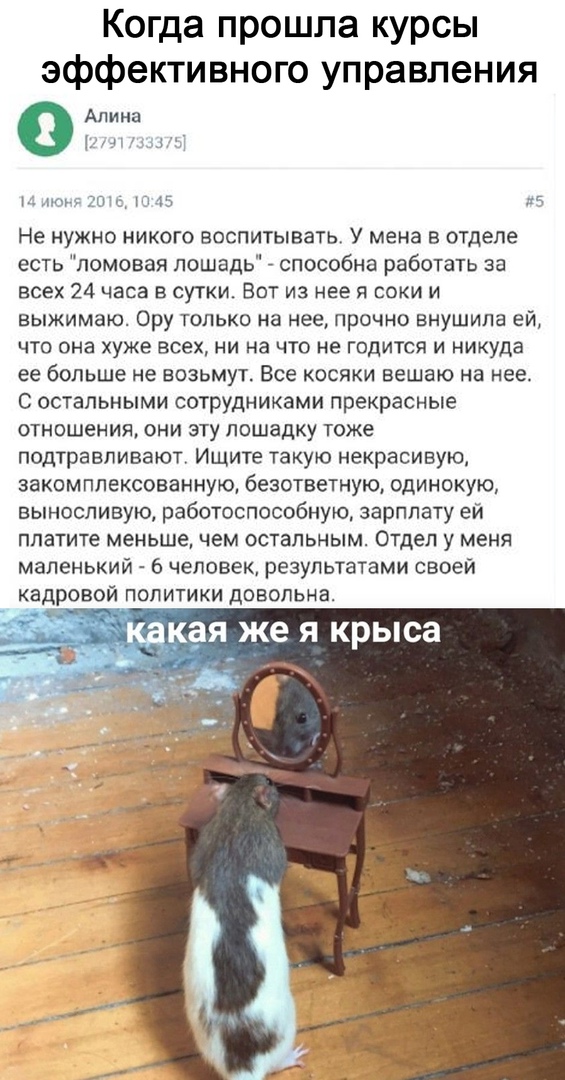 Так себе картинки 12.12.21