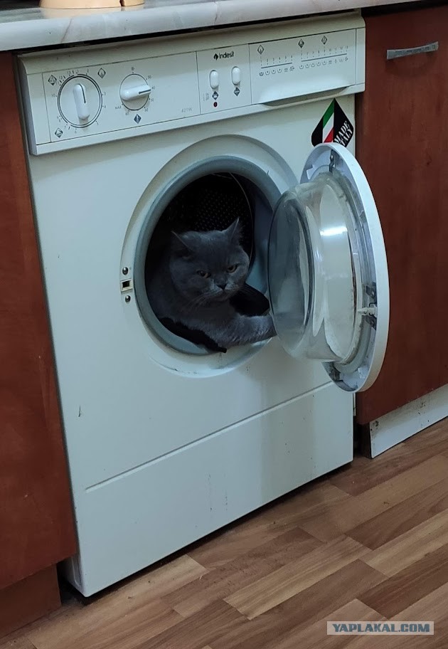 Вторник. Котэ. Пора