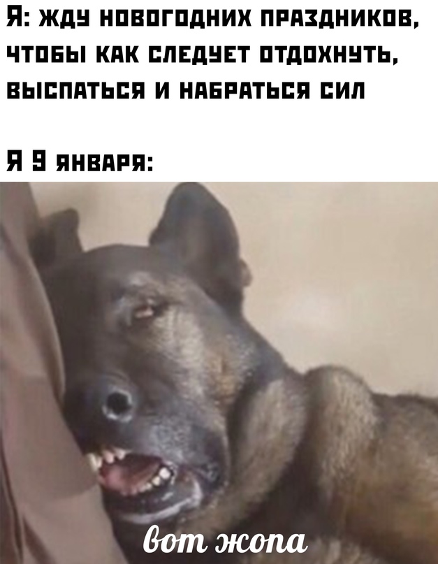 Картинки и мемы для настроения - 10