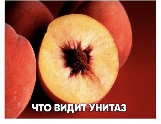 35 фото, которые позволяют взглянуть на знакомые вещи «под другим углом»
